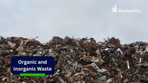 Organic and Inorganic Waste: Similarities and Differences