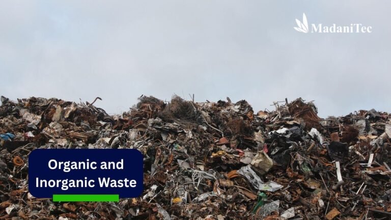 Organic and Inorganic Waste: Similarities and Differences