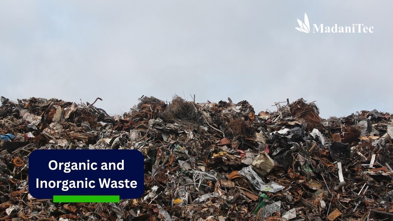 Organic and Inorganic Waste: Similarities and Differences