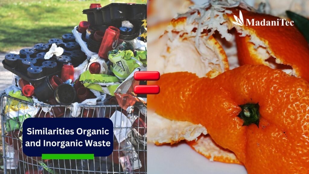 Similarities Organic and Inorganic Waste