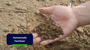 Homemade Fertilizer: The Secret to Nutrient Rich Soil and Plants
