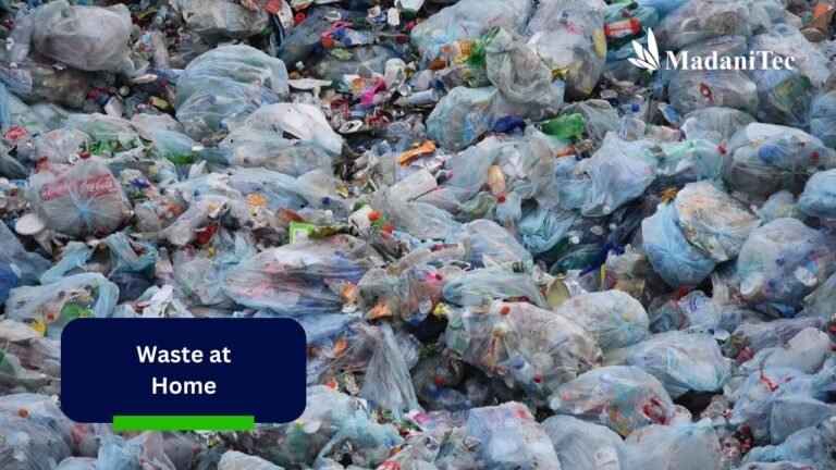 5 Easy Ways to Process Waste at Home, It’s Simple!