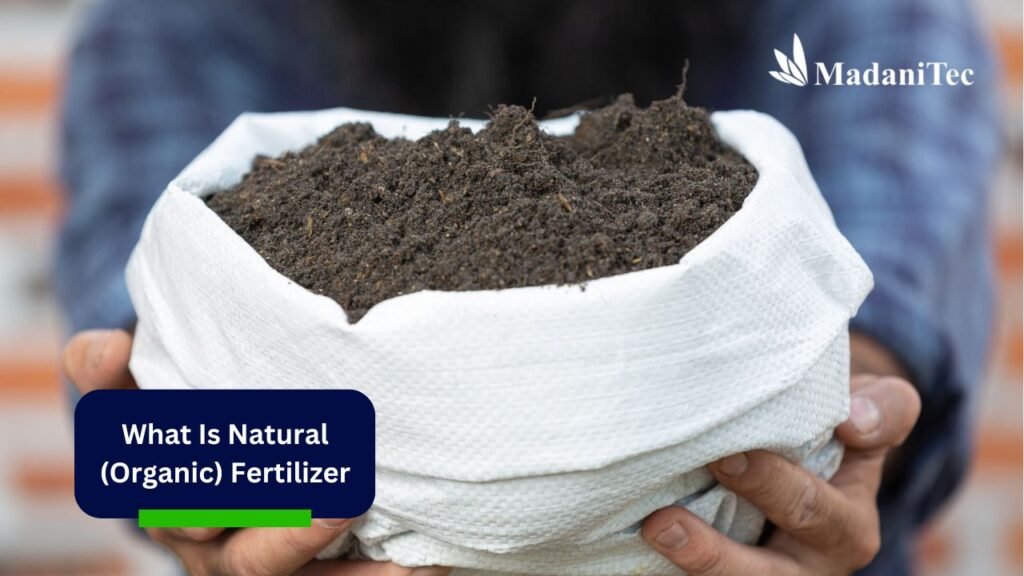What Is Natural (Organic) Fertilizer