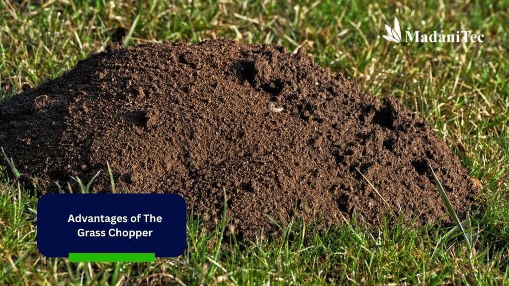 The Advantages of the Grass Chopper Produced by Madanitec 2 Advantages of The Grass Chopper