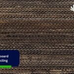 Cardboard Recycling: Modern Way to Process Cardboard Waste
