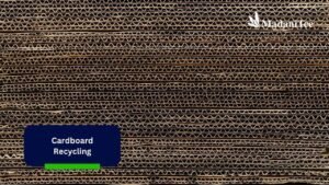 Cardboard Recycling: Modern Way to Process Cardboard Waste
