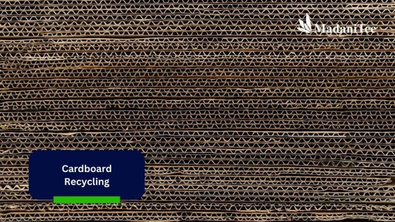 Cardboard Recycling: Modern Way to Process Cardboard Waste