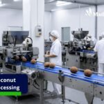 Modern coconut processing technology in an industrial facility