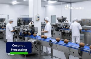 Modern coconut processing technology in an industrial facility