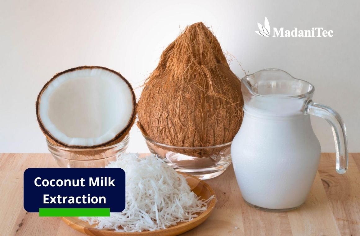 Coconut to coconut milk extraction process