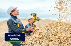 Wood chip quality in modern biomass processing