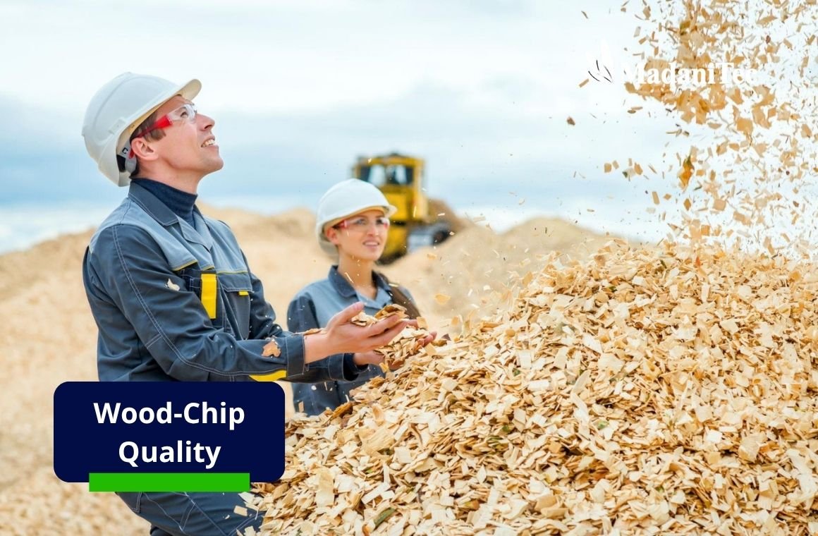 Not All Wood Chips Are Equal: What Determines Their Quality and Value? 1 Wood chip quality in modern biomass processing